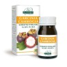 GARCINIA CAMBOGIA ESTRATTO TITOLATO 60 pastiglie (30 g) - Dr. Giorgini