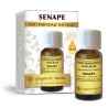 SENAPE Olio essenziale naturale 10 ml - Dr. Giorgini