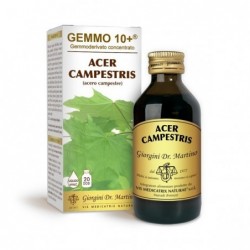GEMMO 10+ Acero Campestre 100 ml Liquido analcoolico...