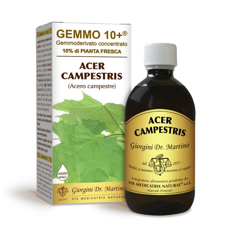 GEMMO 10+ Acero Campestre 500 ml Liquido analcoolico - Dr. Giorgini