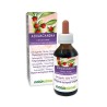 Ashwagandha Tintura madre 100 ml liquido analcoolico - Naturalma