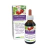 Biancospino Tintura madre 100 ml liquido analcoolico - Naturalma