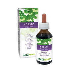 Moringa Tintura madre 100 ml liquido analcoolico -...