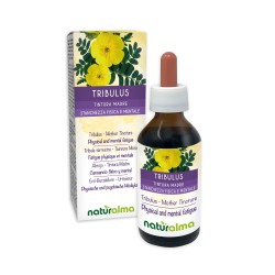 Tribulus Tintura madre 100 ml liquido analcoolico -...