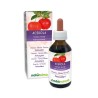 Acerola Tintura madre 100 ml liquido analcoolico - Naturalma