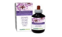 Astragalo Tintura madre 200 ml liquido analcoolico - Naturalma