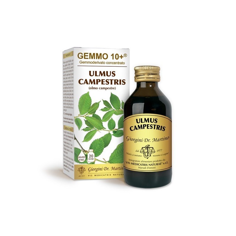 GEMMO 10+ Olmo Campestre 100 ml Liquido analcoolico - Dr. Giorgini