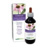 Echinacea Tintura madre 200 ml liquido analcoolico - Naturalma