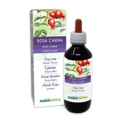 Rosa canina Tintura madre 200 ml liquido analcoolico...