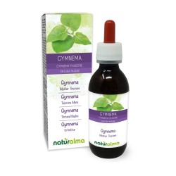 Gymnema Tintura madre 120 ml liquido analcoolico -...