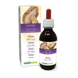 Shiitake Tintura madre 120 ml liquido analcoolico -...