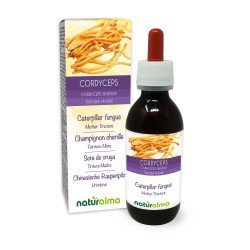 Cordyceps Tintura madre 120 ml liquido analcoolico - Naturalma