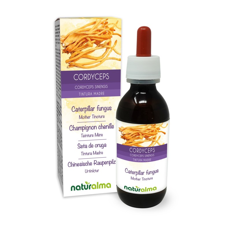 Cordyceps Tintura madre 120 ml liquido analcoolico - Naturalma