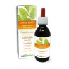 Carpino bianco Gemmoderivato 120 ml liquido analcoolico - Naturalma