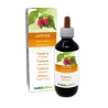 Lampone Gemmoderivato 200 ml liquido analcoolico - Naturalma