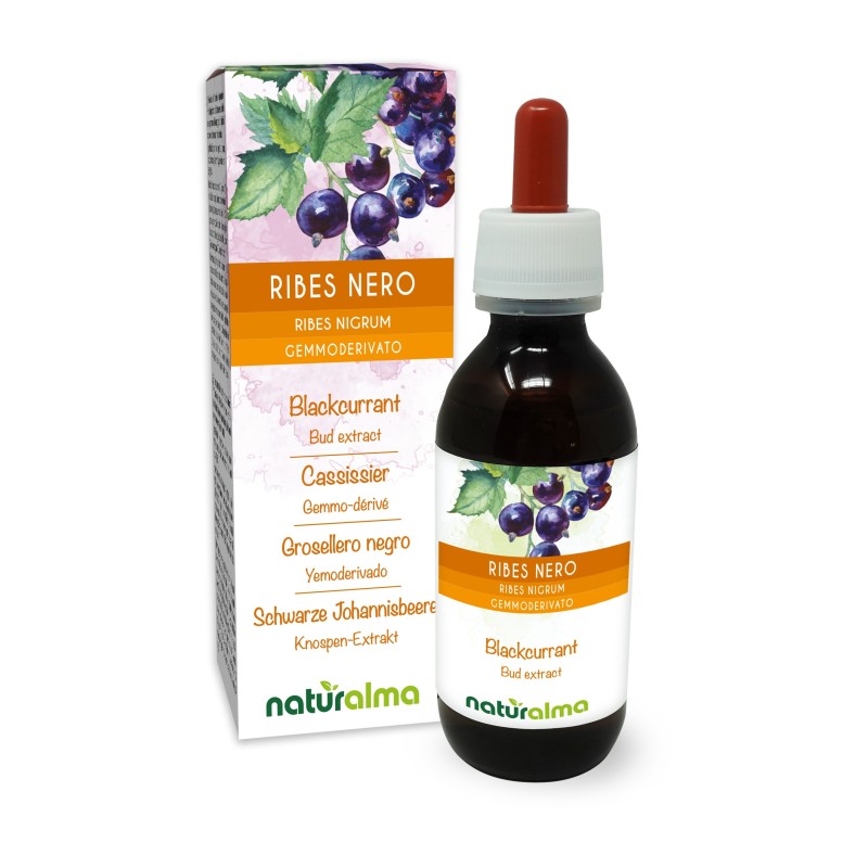 Ribes nero Gemmoderivato 120 ml liquido analcoolico - Naturalma