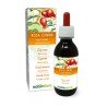 Rosa canina Gemmoderivato 120 ml liquido analcoolico - Naturalma
