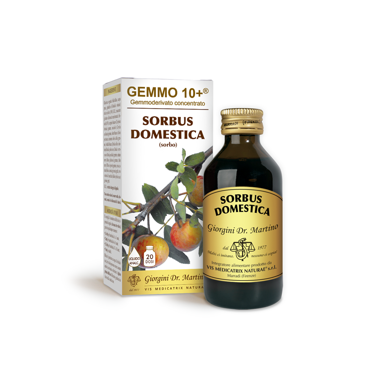GEMMO 10+ Sorbo 100 ml Liquido analcoolico - Dr. Giorgini