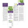 Angelica Cinese Tintura madre 120 ml liquido analcoolico - Naturalma