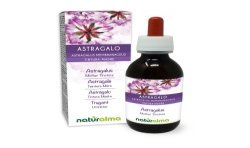 Astragalo Tintura madre 120 ml liquido analcoolico - Naturalma