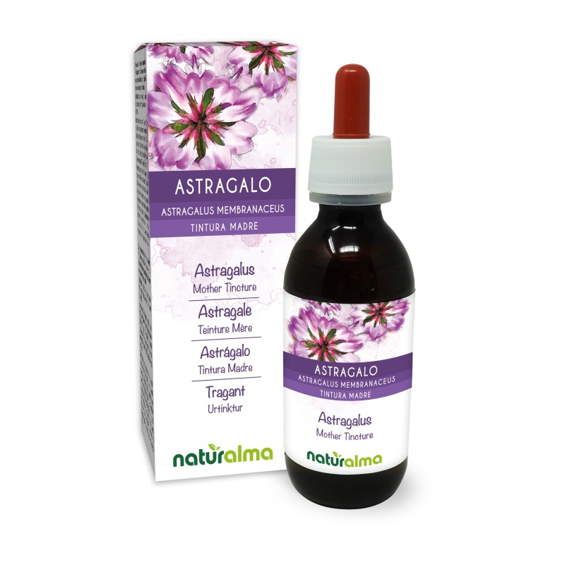 Astragalo Tintura madre 120 ml liquido analcoolico - Naturalma