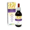 Avena Tintura madre 120 ml liquido analcoolico - Naturalma