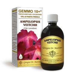 GEMMO 10+ Vite Canadese 500 ml Liquido analcoolico -...