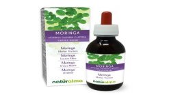 Moringa Tintura madre 120 ml liquido analcoolico - Naturalma