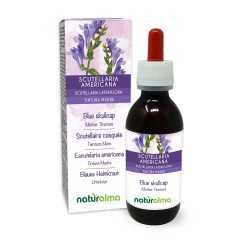 Scutellaria Americana Tintura madre 120 ml liquido...