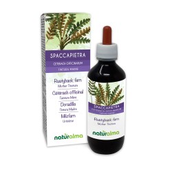 Spaccapietra Tintura madre 200 ml liquido...