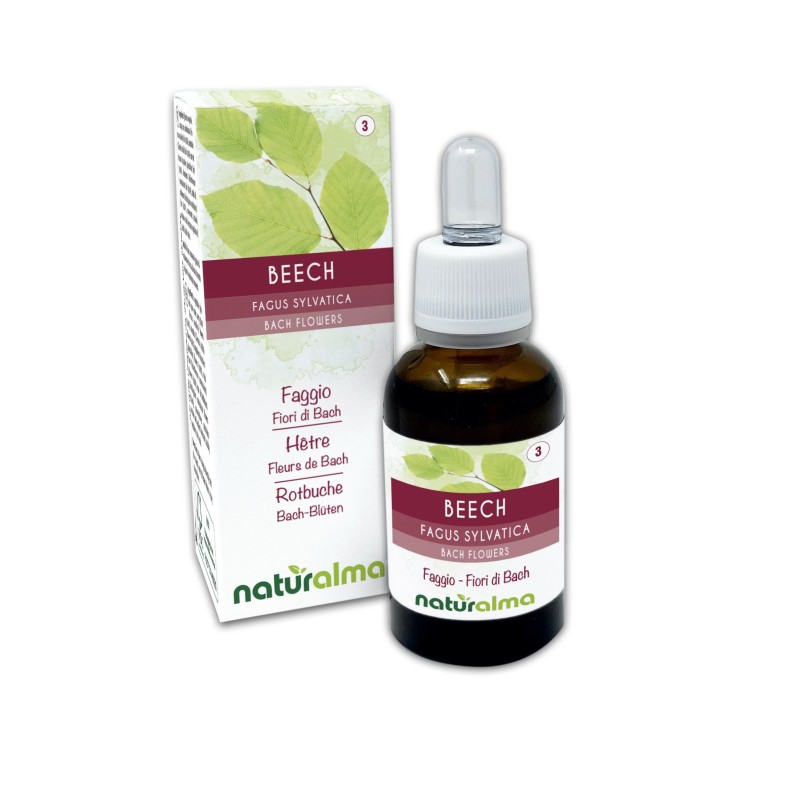 Beech Fiori di Bach 30 ml liquido analcoolico - Naturalma