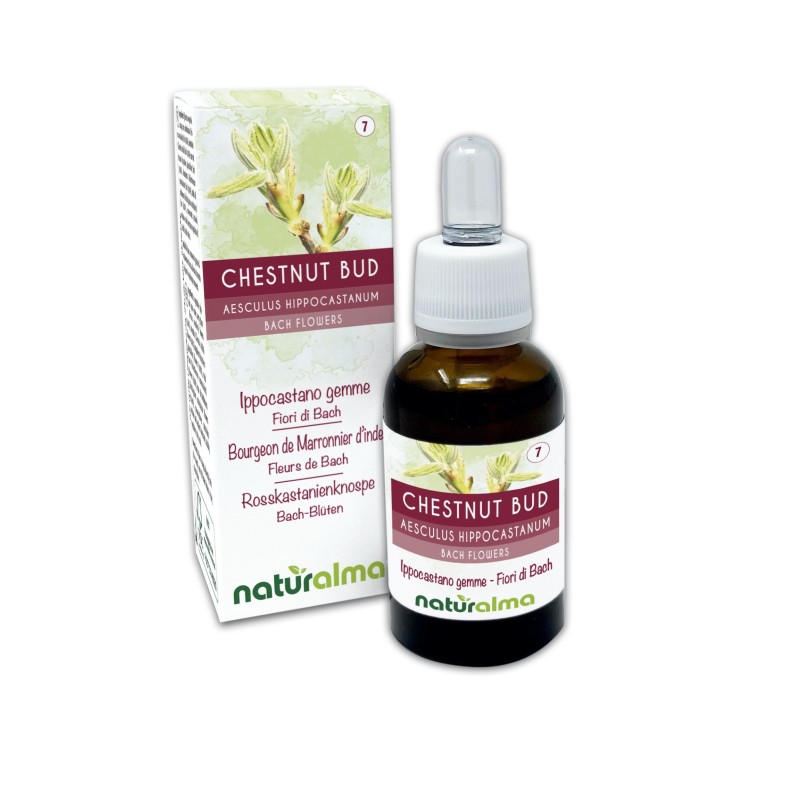 Chestnut Bud Fiori di Bach 30 ml liquido analcoolico - Naturalma Chestnut Bud Fiori di Bach 30 ml liquido analcoolico - Naturalma