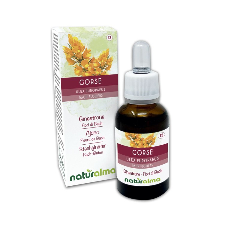 Gorse Fiori di Bach 30 ml liquido analcoolico - Naturalma