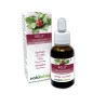 Holly Fiori di Bach 30 ml liquido analcoolico - Naturalma