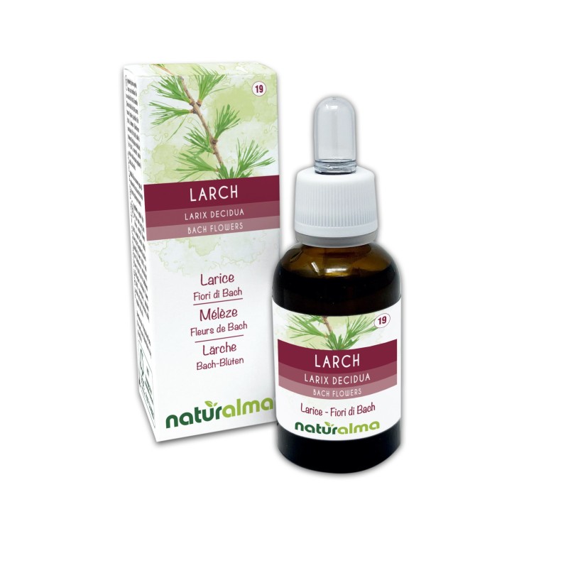 Larch Fiori di Bach 30 ml liquido analcoolico - Naturalma