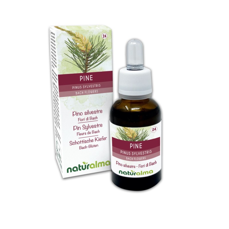 Pine Fiori di Bach 30 ml liquido analcoolico - Naturalma