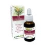 Pine Fiori di Bach 30 ml liquido analcoolico - Naturalma