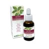 Walnut Fiori di Bach 30 ml liquido analcoolico - Naturalma