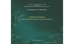 Omocisteina una pericolosa sconosciuta (libretto) - Dr. Giorgini