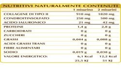 COLLAGENE DI POLLO DI TIPO II 100 g polvere - Dr. Giorgini