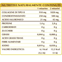 COLLAGENE DI POLLO DI TIPO II 100 g polvere - Dr. Giorgini
