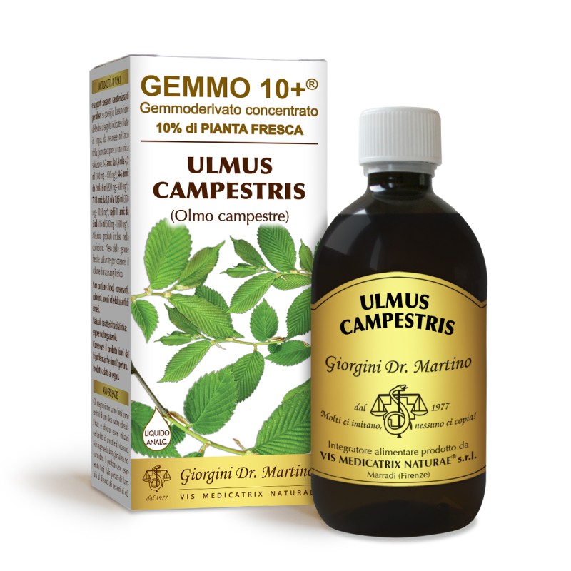 GEMMO 10+ Olmo Campestre 500 ml Liquido analcoolico - Dr. Giorgini