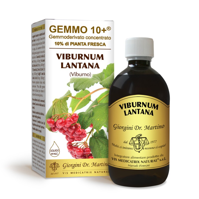 GEMMO 10+ Viburno 500 ml Liquido analcoolico - Dr. Giorgini