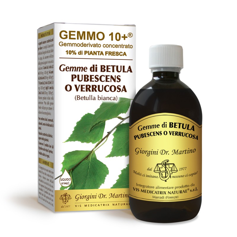 GEMMO 10+ Betulla Bianca Gemme 500 ml Liquido analcoolico - Dr. Giorgini