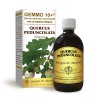 GEMMO 10+ Quercia 500 ml Liquido analcoolico - Dr. Giorgini