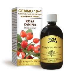 GEMMO 10+ Rosa Canina 500 ml Liquido analcoolico - Dr. Giorgini