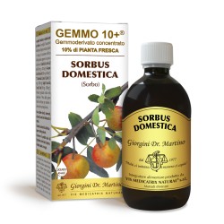 GEMMO 10+ Sorbo 500 ml Liquido analcoolico - Dr. Giorgini