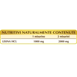 LISINA Pura 100 g polvere solubile - Dr. Giorgini