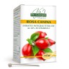 ROSA CANINA ESTRATTO TITOLATO 500 g polvere - Dr. Giorgini