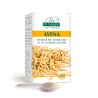 AVENA ESTRATTO TITOTALO 150 g polvere - Dr. Giorgini